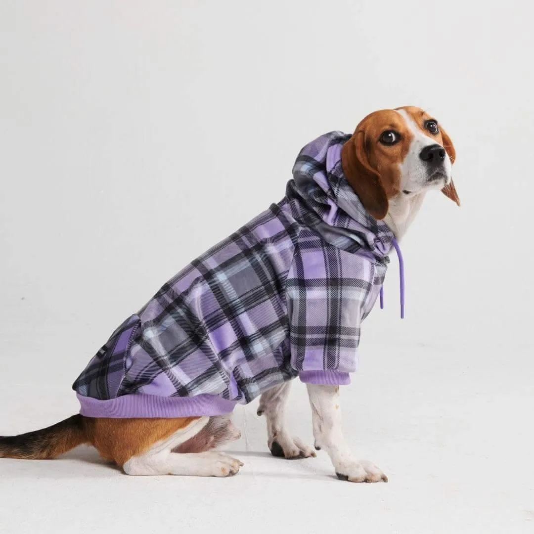 Plaid Dog Hoodies