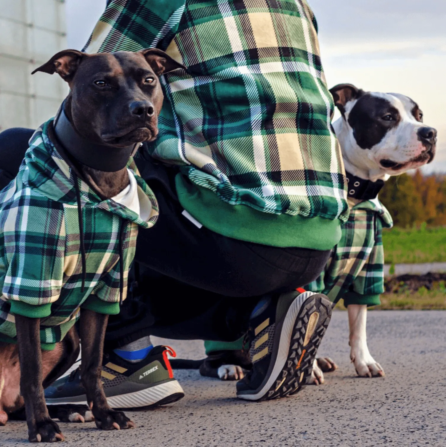 Plaid Dog Hoodies