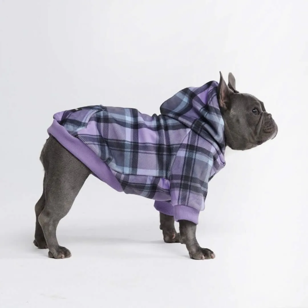 Plaid Dog Hoodies