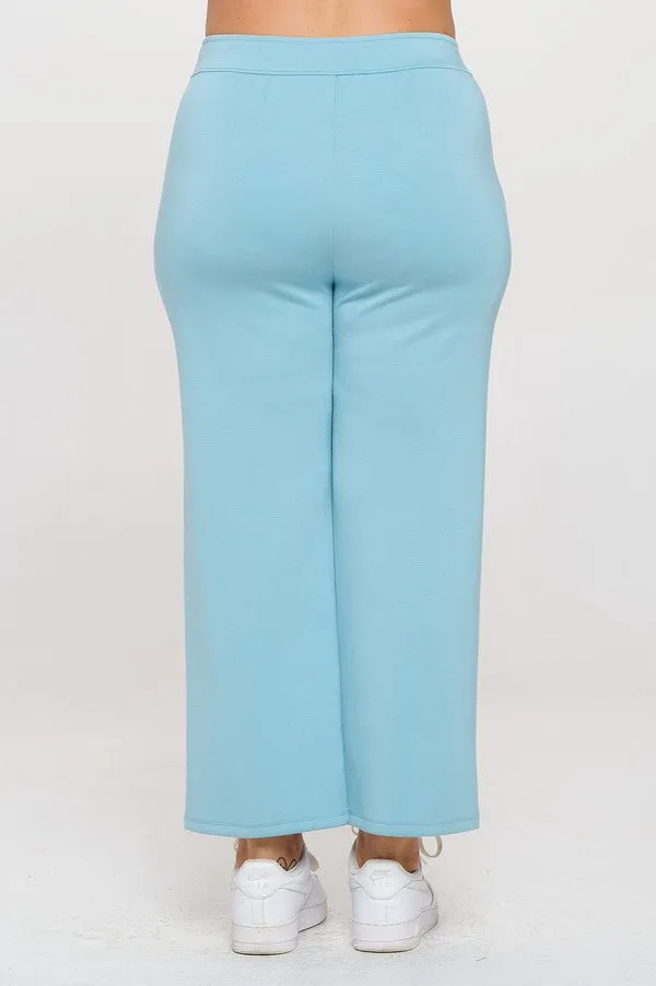 Plus Size High Rise Straight Leg Pants